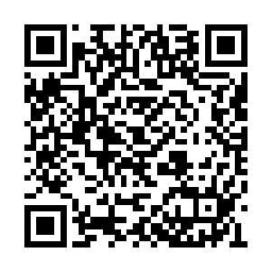 熊猫这种动物很难找到有愿意让人带回去领养的二维码生成