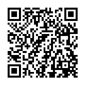 熊瞎子这一巴掌直接拍在了苳凰郡主之前骑得马上二维码生成