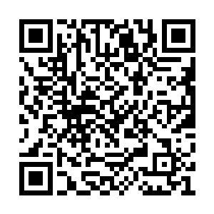熏腊肉作坊和地里的活儿还是会咱自己村的人干二维码生成