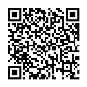 熔火大君的血脉不可能莫名其妙转移到自己身上的二维码生成