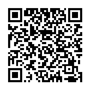 熙当即将她所知道的杨铎明跟符青萝的情况跟许大牛说了二维码生成