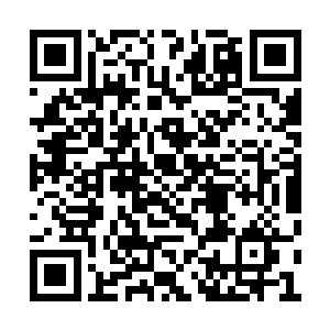 熟悉刑侦流程的她很自信不会被查出来是她做的二维码生成