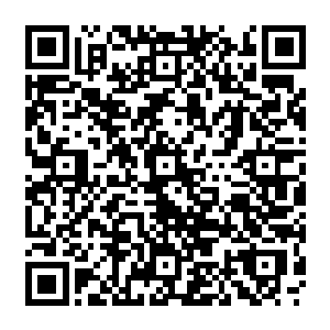 熟悉的味道和感觉让它意识到窝里这个还没睁开眼睛的小东西跟自己之间深深的羁绊二维码生成