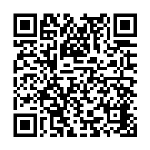 熟悉的阴冷的天地元气也瞬间笼罩在龙傲天的周围二维码生成