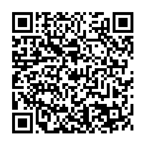 熟识高档豪华车型的阿联酋军警对这辆x6上的贵客只是笑着问了两句二维码生成