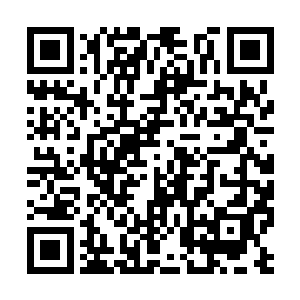 燃情花后那原本苍老枯萎的面容突然变得红润起来二维码生成