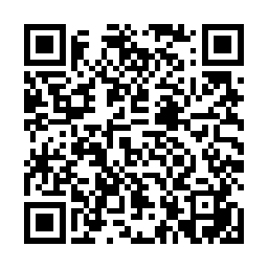 燃烧着熊熊烈焰的羽毛也重重轰击在了那蛇鳞盾牌之上二维码生成