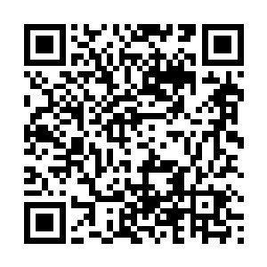 燎原和昆仑舰队的确派出了好几艘工程船和勘测考察舰二维码生成