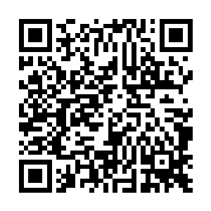 燕华楼里安插着大帝的耳目这事所有人心知肚明的秘密二维码生成