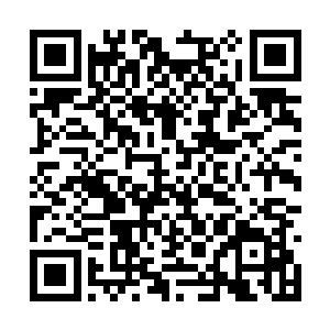 燕团行轻蔑了瞥了一眼崩碎的右手仿佛不知道疼痛二维码生成