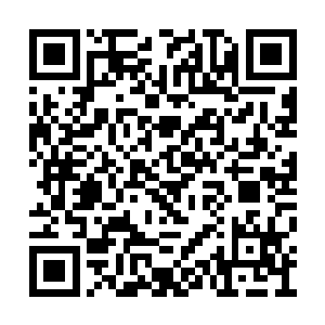 燕子坞有四个人是站在同一条水平线上的――你二维码生成