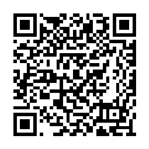 燕子坞第一男子天团花美男团队的成员全部到齐二维码生成