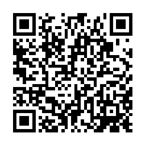 燕家秦家还有叶天雷和风四娘竟然不约而同地来了二维码生成