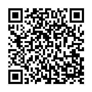 燕小霞便在其中选取了一根粗细和自己隔壁差不多相同的桃树枝二维码生成