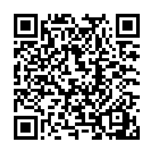 燕小霞指着松木树干中心的一小段发白的木质纹理二维码生成