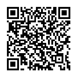 燕山魂体内的震动带动了整个大殿都发生了震动二维码生成