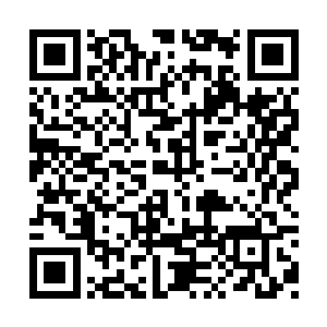 燕山魂反倒是没有想到自己会引起如此大的轰动二维码生成