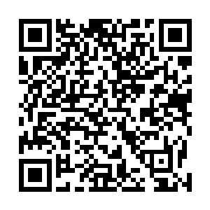 燕山魂的前世琅琊不知道活了多少亿万年如果他说会什么二维码生成