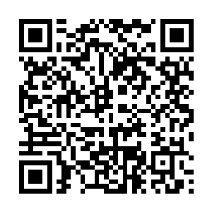 燕山魂的脑海中模模糊糊地出现了一座莲花一般的山峰二维码生成