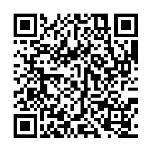 燕星云从苍茫大陆很小的时候就认为的自己是罗天宗的弟子二维码生成