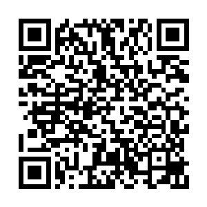 燕正天目光对上少女偷偷抬起朝他看来打量的眼二维码生成