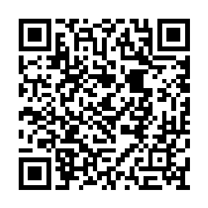 燕淮离开之前亲自领着吉祥一众人护送燕娴过去二维码生成
