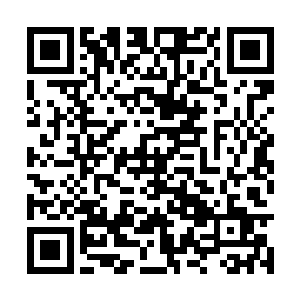 燕王只怕不会为了一个纨绔子弟出面干涉朝堂律法二维码生成