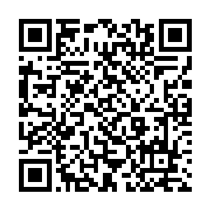 爆发出更加强大的力量将这几名归源境强者困在这里二维码生成