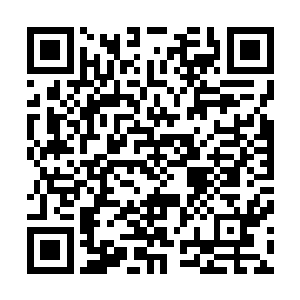 爆发出来了惊人的力量一下子就冲到了林封谨的面前哭喊道二维码生成