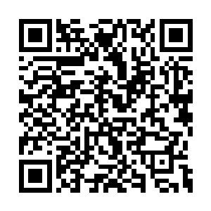 爬出来的倭寇并没有发现处在侧后方的浙军将士二维码生成