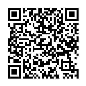 爱上她了……这一次是真的动了感情……那个女孩是可乐吧二维码生成