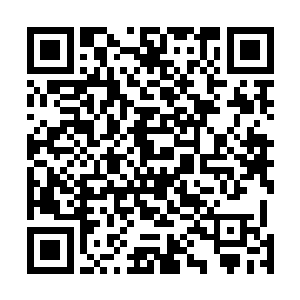 爱丽丝的心里其实却不想所有的事情都要林烽为他去完成二维码生成