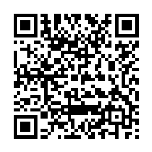 爱娜的存在让任何有点自信的男性生物都有蓬勃的表现欲二维码生成