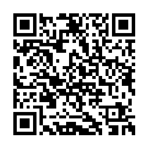 爱安然的亲们可以在粉丝榜上留下自己的名字哦二维码生成