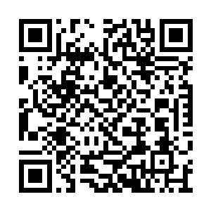 爱情仙蛊在她的虚窍中开始绽射出无穷的光辉来二维码生成