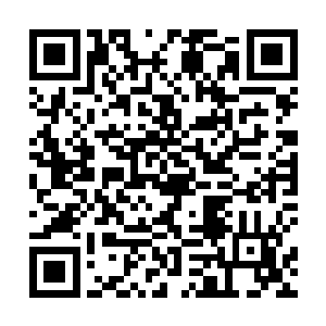 爱抚时候产生的温柔施压可以帮助幼崽更好的长出翅鞘二维码生成