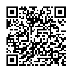 父亲为什么要夺了您主中馈的权力……难不成是因为纪氏二维码生成