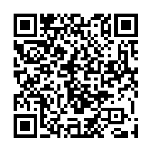 父亲可得把刚刚敷衍过去的话题再给阿珩好好地做个解释二维码生成