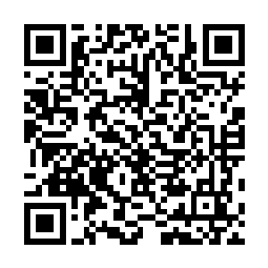 父亲总不会是因为姐姐的长相便认为她是咱们杜府的人吧二维码生成