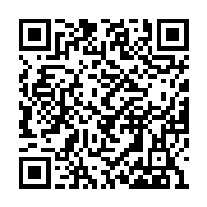 父亲总是会抱着她然后用他粗糙的手刮她的鼻子二维码生成