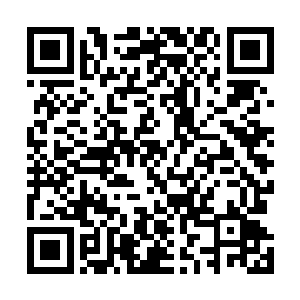 父亲最后悔的就是当初怎么就让你这样丢脸的东西生下来二维码生成