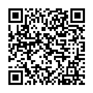 父亲这一面包车上竟然都是打包好的生活物品大纸箱二维码生成