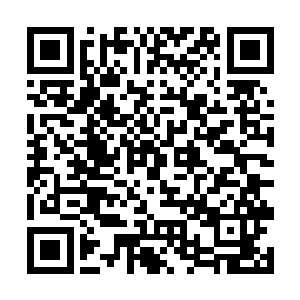 父母亲果然已经准备了丰盛的晚餐在等着他和水易天二维码生成