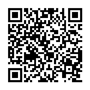 父王并非不同意你收服一些能干的人为自己所用二维码生成