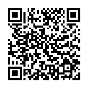 爷爷和奶奶的身体都已经是什么情况了偶然的点一支二维码生成