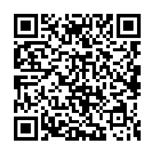 爸爸当年自己珍藏了那么多的古董都没有带回来二维码生成