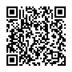 爸爸答应每个月送我去一次学校的――他以为我忘记了二维码生成