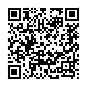 爹是不是真的觉得自己很没用所以才不肯让自己上战场啊二维码生成