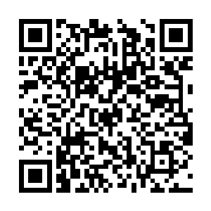 爹爹和娘亲之所以会用这种挖地洞的方法来黑魔族二维码生成