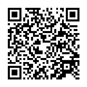 片刻间便把这方圆数十丈的范围全都覆盖在了其内二维码生成